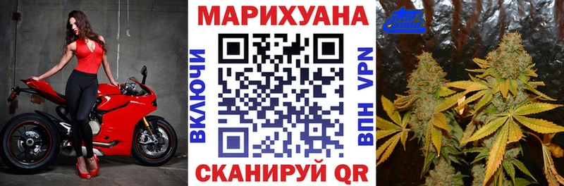 KRAKEN вход  Ершов  Канабис семена 